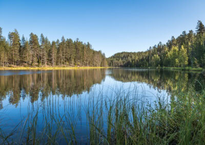 Syoete National Park Landscape