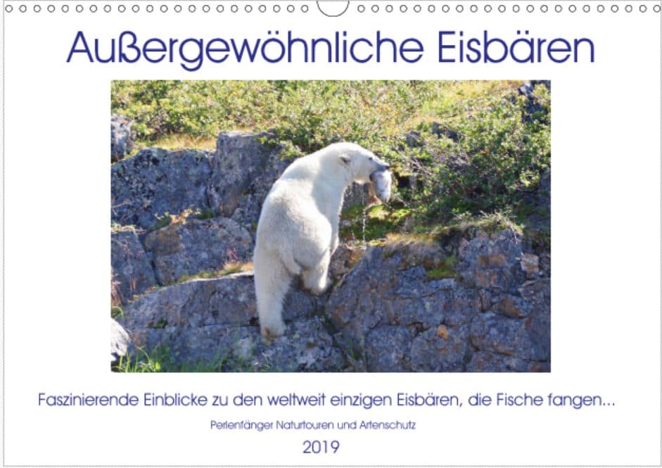 Eisbären Kalender und mehr