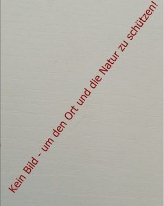 Titel Blog ohne Bilder