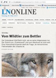 Titelbild