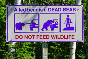 Wildtiere nicht fuettern