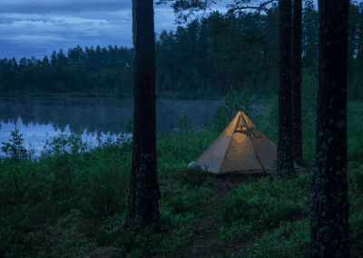 Woelfe Biber Elche Schweden 1