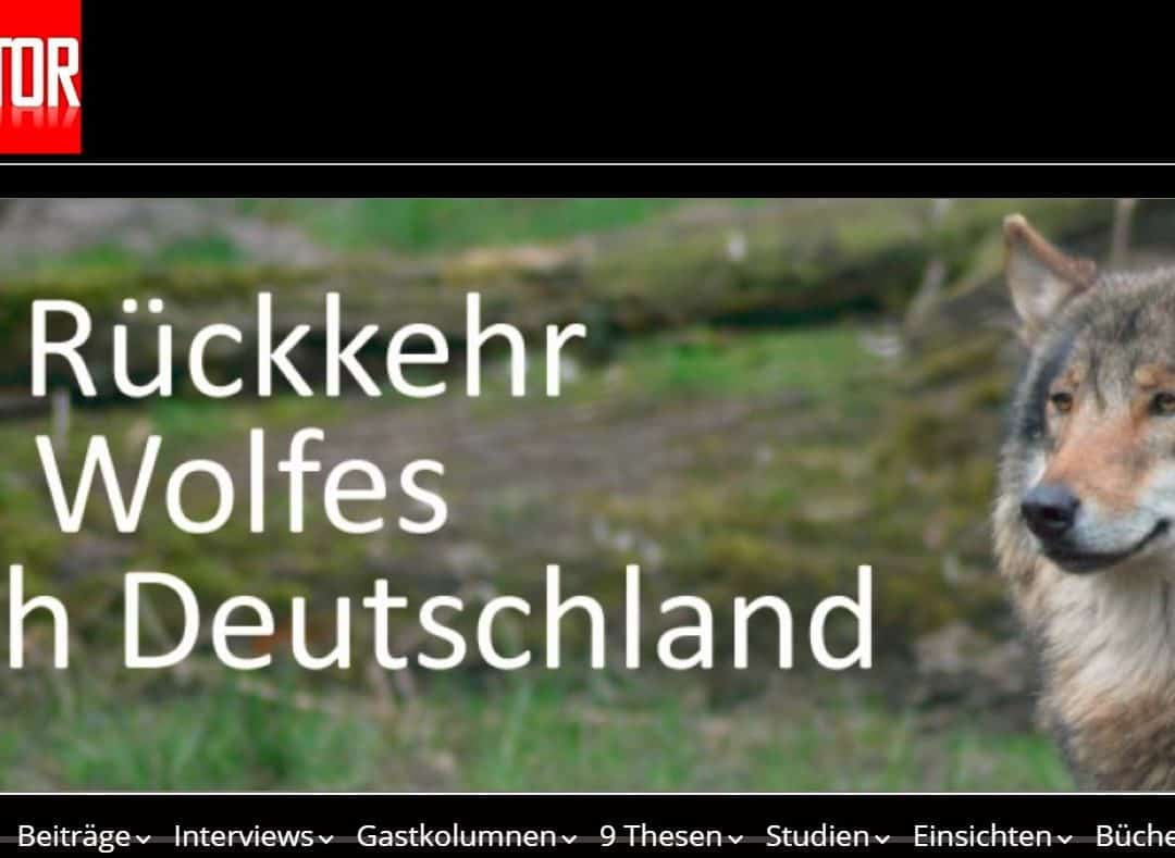 Interview „3 Antworten von Sabine Bengtsson“ mit Wolfsmonitor