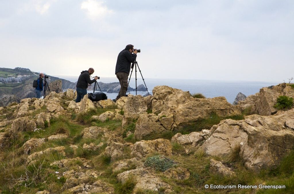 Auf ein Wort! Respekt vor Wildtieren beim Beobachten