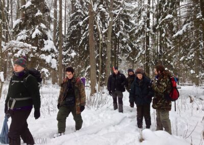 Białowieża Wald und Biebrza Sümpfe im Winter 26 in the wolf territory bialowieza forest poland 002