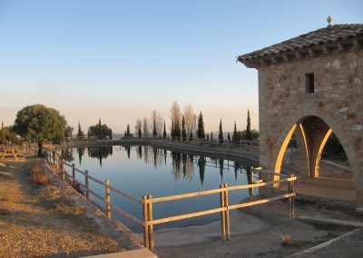 perlenfaenger aragon IMG 1791