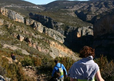 perlenfaenger aragon dia 34