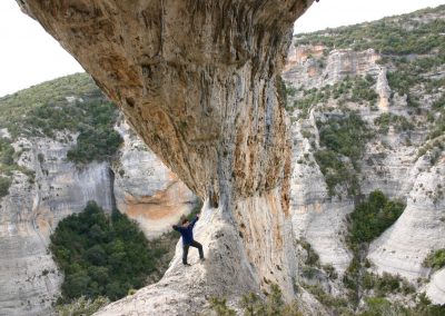 perlenfaenger aragon dia 5 2