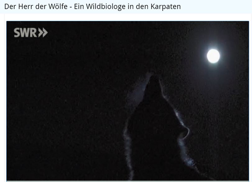 Wolfsdokumentation „Der Herr der Wölfe“