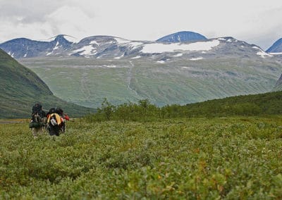 perlenfaenger.com Matti Holmgren Wildlife expedition sarek national park sweden 8