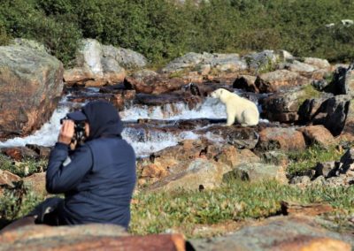 perlenfaenger.com alain lagacé kanada eisbaer torngat