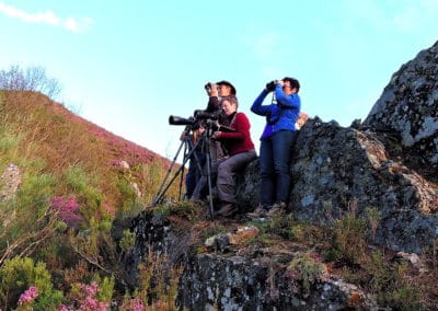 perlenfaenger.com baerenexkursion kantabrisches Gebirge spanien 4