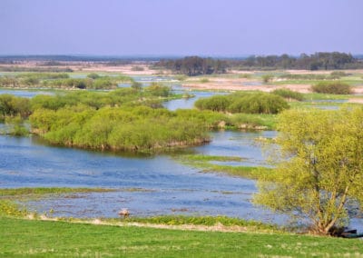 perlenfaenger.com biebrza marshes polen 1