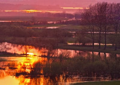 perlenfaenger.com biebrza marshes spring Lukasz polen 2