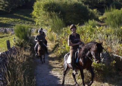 perlenfaenger.com garrano reiten portugal wildpferde