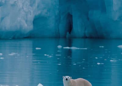 perlenfaenger.com hurtigruten arktis spitzbergen 6