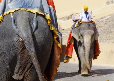 perlenfaenger.com indien sabine bengtsson 0