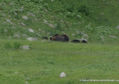 perlenfaenger.com japan hokkaido shiretoko naturreise sabine bengtsson 614