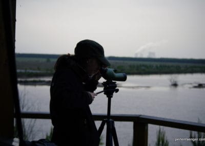 perlenfaenger.com lausitz wolfstour ansitz