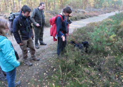 perlenfaenger.com lausitz wolfstour okt 2015 10