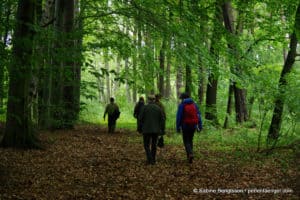 perlenfaenger.com lausitz wolfstour wandern woelfe