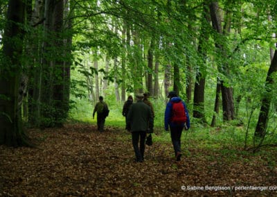 perlenfaenger.com lausitz wolfstour wandern woelfe