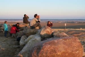 perlenfaenger.com lausitz wolfstour woelfe 1