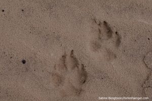 perlenfaenger.com luebtheener heide oktober 2015 15