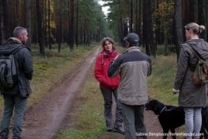 perlenfaenger.com luebtheener heide oktober 2015 2