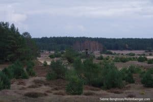 perlenfaenger.com luebtheener heide oktober 2015 23
