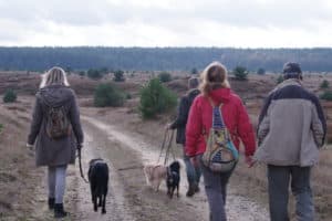 perlenfaenger.com luebtheener heide oktober 2015 3