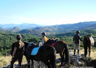 perlenfaenger.com peneda geres portugal sabine bengtsson wild horses wolves 5