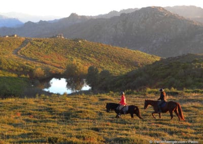 perlenfaenger.com portugal garrano wildpferde reiten