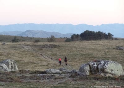 perlenfaenger.com portugal garrano wildpferde reiten 1