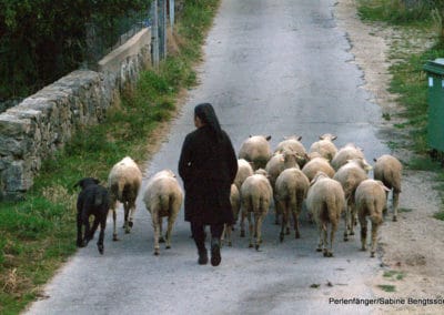 perlenfaenger.com portugal wildpferde woelfe reittour peneda geres 2