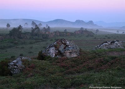 perlenfaenger.com portugal wildpferde woelfe reittour peneda geres 45