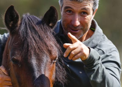 perlenfaenger.com reitseminarportugal wildpferde woelfe reitenlernen garranos lusitanos 0