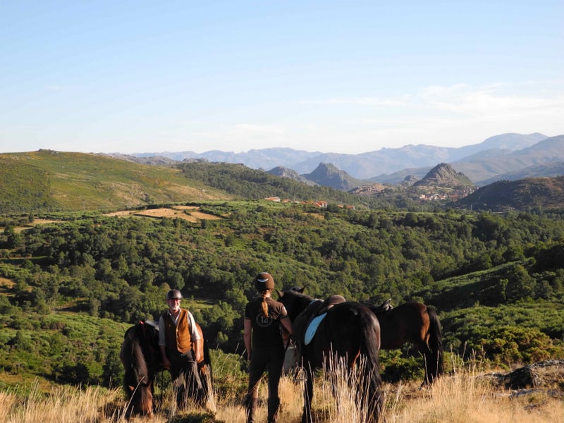 Manchmal dauern Träume etwas länger – Reiten lernen für Erwachsene Portugal