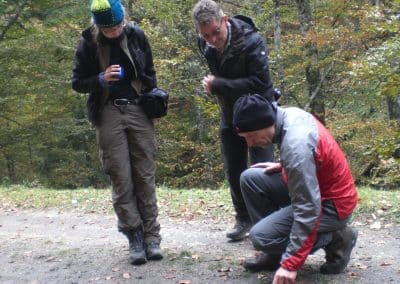 perlenfaenger.com rumaenien peter suerth naturtouren spurenkunde