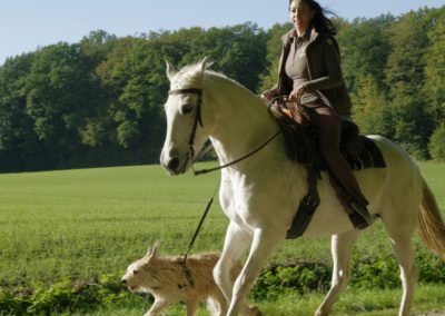 perlenfaenger.com sabine bengtsson hund ambra pferd anuja 2