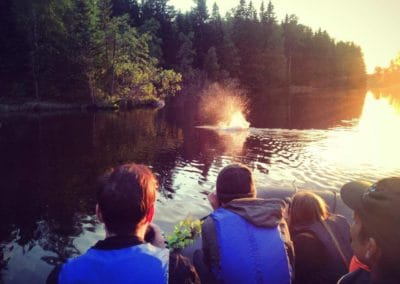 perlenfaenger.com schweden biber naturreisen 3