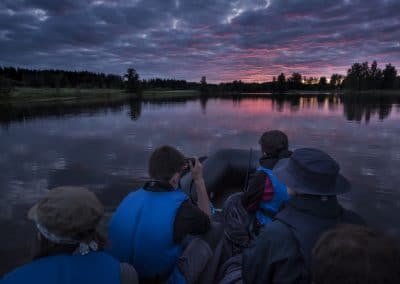 perlenfaenger.com schweden biber naturreisen 6