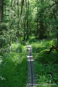 perlenfaenger.com schweden naturreise 24