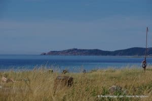 perlenfaenger.com schweden naturreise 28
