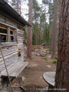perlenfaenger.com schweden naturreise artenschutz 115