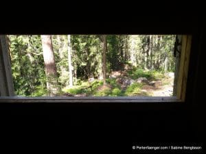 perlenfaenger.com schweden naturreise artenschutz 123