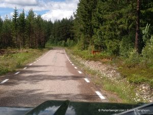 perlenfaenger.com schweden naturreise artenschutz 154