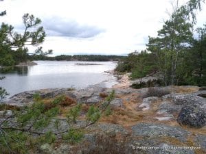 perlenfaenger.com schweden naturreise artenschutz 166