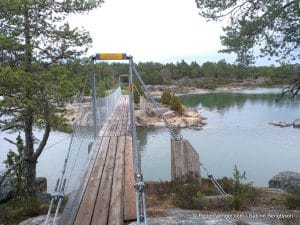 perlenfaenger.com schweden naturreise artenschutz 169