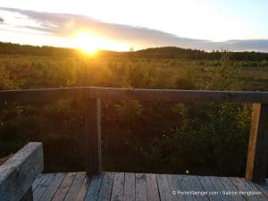 perlenfaenger.com schweden naturreise artenschutz 265